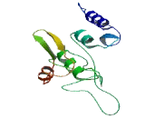 Alpha-Tubulin Acetyltransferase 1 (aTAT1)