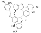 Alpha-Viniferin (aVF)