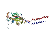 Amiloride Sensitive Sodium Channel Subunit Alpha (SCNN1a)