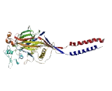 Amiloride Sensitive Sodium Channel Subunit Delta (SCNN1d)