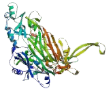 Amine Oxidase, Copper Containing 2 (AOC2)