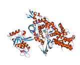 Aminoacyl tRNA Synthetase (ARS)