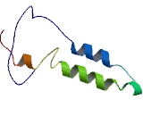 Hydroxylysine Kinase (HYKK)