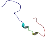 Aminolevulinate Delta Synthase 2 (ALAS2)