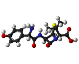 Amoxicillin (AMPC)