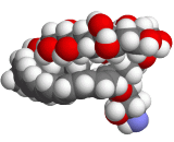 Amphotericin B (AmpB)