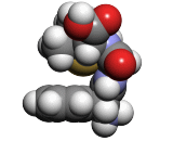 Ampicillin (ABPC)