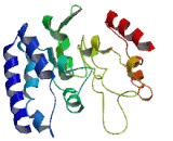 Amy1 Associated Protein Expressed In Testis (AAT1)