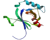 Amyloid Beta Precursor Protein Binding Protein B3 (APBB3)