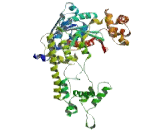 Amyloid Beta Precursor Protein Binding Protein 1 (APPBP1)