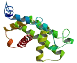 Amyotrophic Lateral Sclerosis 2 (ALS2)