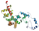 Amyotrophic Lateral Sclerosis 2 Chromosome Region, Candidate 11 (ALS2CR11)