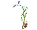 Amyotrophic Lateral Sclerosis 2 Chromosome Region, Candidate 12 (ALS2CR12)