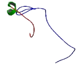 Anaphase Promoting Complex Subunit 11 (ANAPC11)