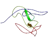 Anaphase Promoting Complex Subunit 16 (ANAPC16)