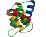 Anaphase Promoting Complex Subunit 5 (ANAPC5)