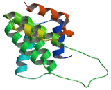 Anaphase Promoting Complex Subunit 7 (ANAPC7)