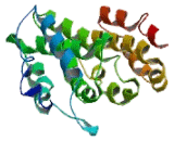 Androgen Induced Proliferation Inhibitor (APRIN)