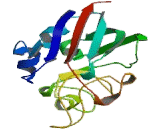 Angiopoietin Like Protein 3 (ANGPTL3)