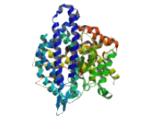 Angiotensin I Converting Enzyme (ACE)