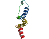 Angiotensin II Receptor 2 (AGTR2)