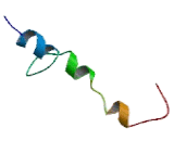 Anion Exchange Protein 3 (AE3)