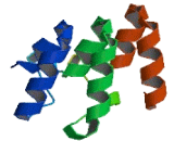 Ankyrin And Armadillo Repeat Containing Protein (ANKAR)