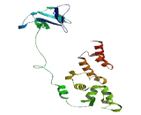 Ankyrin Repeat And BTB/POZ Domain Containing Protein 2 (ABTB2)