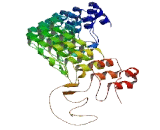 Ankyrin Repeat And Death Domain Containing Protein 1B (ANKDD1B)