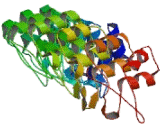 Ankyrin Repeat And FYVE Domain Containing Protein 1 (ANKFY1)