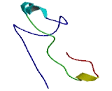 Ankyrin Repeat And IBR Domain Containing Protein 1 (ANKIB1)