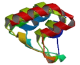 Ankyrin Repeat And Kinase Domain Containing Protein 1 (ANKK1)