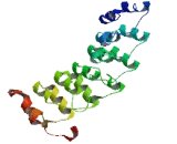 Ankyrin Repeat And MYND Domain Containing Protein 2 (ANKMY2)