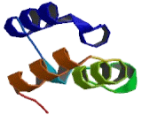 Ankyrin Repeat And SOCS Box Containing Protein 1 (ASB1)