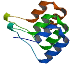 Ankyrin Repeat And SOCS Box Containing Protein 11 (ASB11)