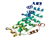 Ankyrin Repeat And SOCS Box Containing Protein 12 (ASB12)