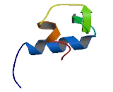 Ankyrin Repeat And SOCS Box Containing Protein 15 (ASB15)