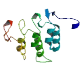 Ankyrin Repeat And SOCS Box Containing Protein 4 (ASB4)