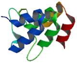 Ankyrin Repeat And SOCS Box Containing Protein 7 (ASB7)