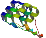 Ankyrin Repeat And SOCS Box Containing Protein 8 (ASB8)