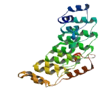 Ankyrin Repeat And SOCS Box Containing Protein 9 (ASB9)