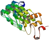 Ankyrin Repeat And Sterile Alpha Motif Domain Containing Protein 1B (ANKS1B)