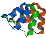 Ankyrin Repeat And Sterile Alpha Motif Domain Containing Protein 6 (ANKS6)