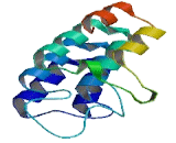 Ankyrin Repeat And Ubiquitin Domain Containing Protein 1 (ANKUB1)