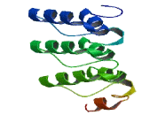 Ankyrin Repeat Domain Protein 12 (ANKRD12)