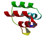 Ankyrin Repeat Domain Protein 13C (ANKRD13C)