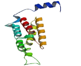 Ankyrin Repeat Domain Protein 13D (ANKRD13D)