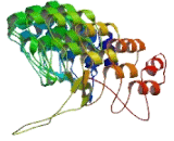 Ankyrin Repeat Domain Protein 20A3 (ANKRD20A3)