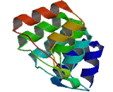 Ankyrin Repeat Domain Protein 20A5 (ANKRD20A5)