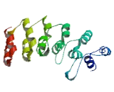 Ankyrin Repeat Domain Protein 22 (ANKRD22)